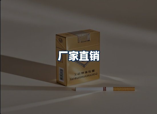 专业团队办公环境